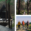 map picture for the maps