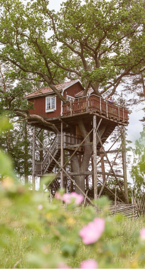A tent with a mattress on the ground inside the tent 