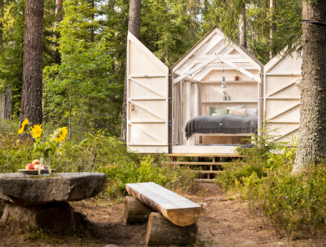 A treehouse in the forest
