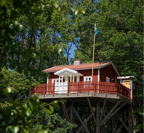  A glamping tent in the forest