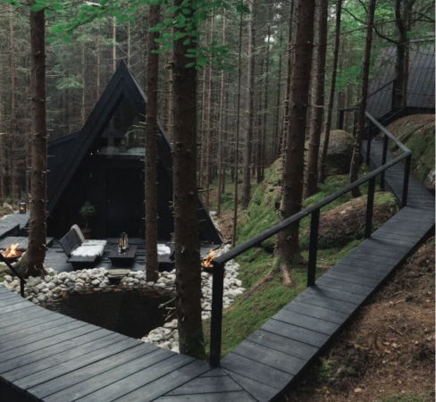 A tree cabin
