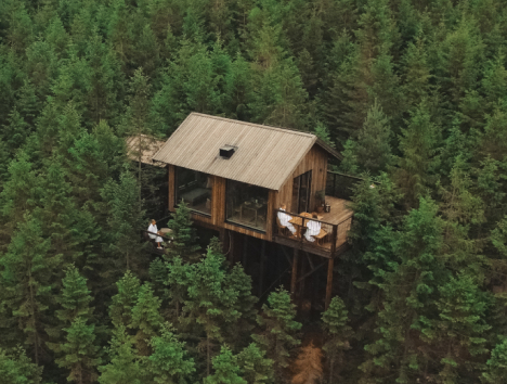A treehouse in the forest
