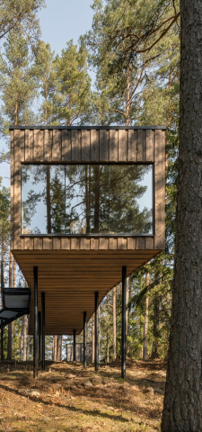 a tree cabin in the forest