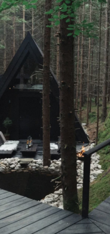 A tree cabin in the forest