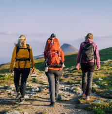 three people walking in nature