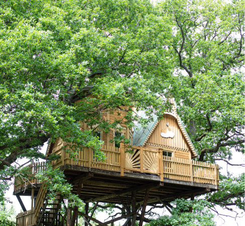A tent hanging above the ground in the forest