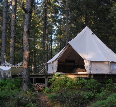  A glamping tent in the forest