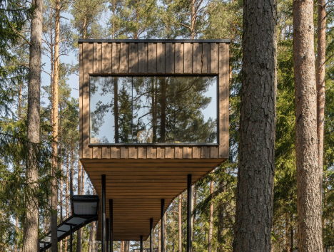 A treehouse in the forest